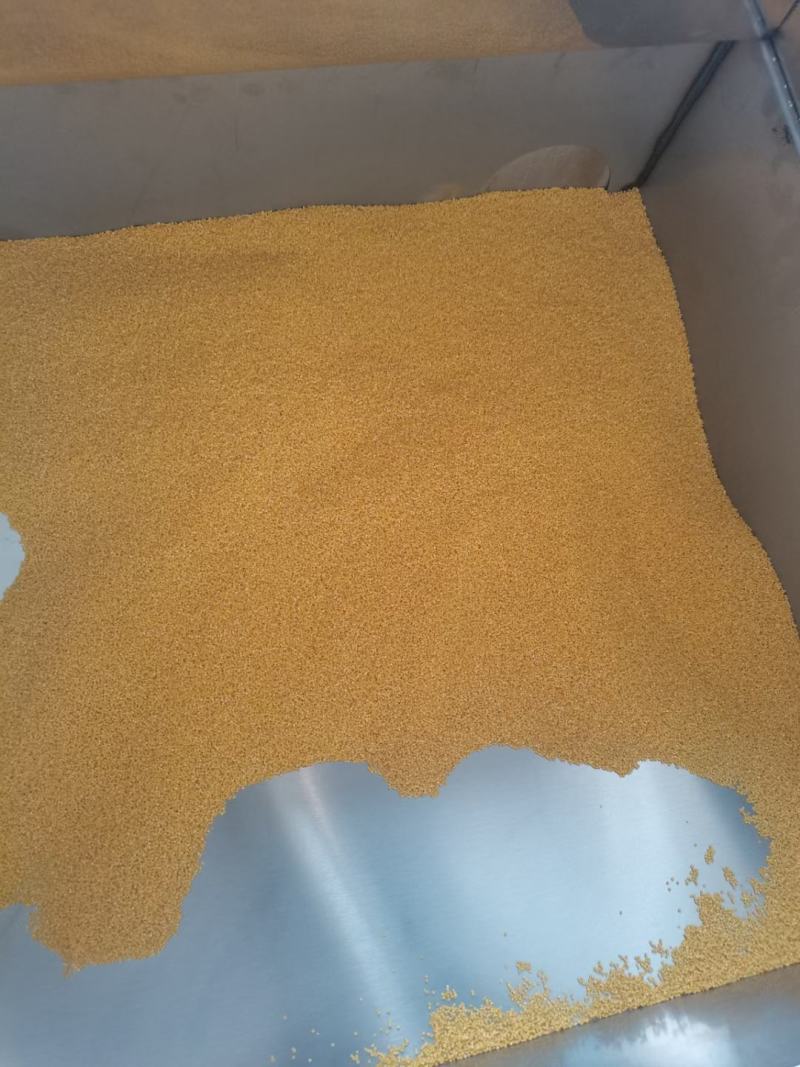 常年供应内蒙古优质黄金小米，质优价廉，精品中的精品