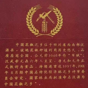 正宗汉源贡椒苗营养袋苗红花椒苗保证品种