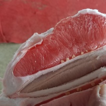 三红柚子