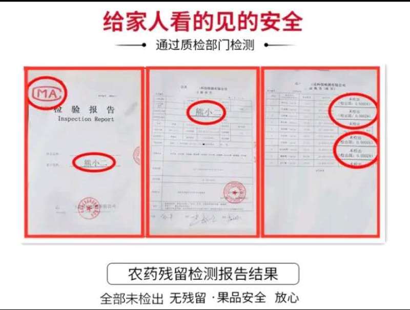 黄金奶油富士苹果山东烟台一件代发电商微商抖企业团购供应链