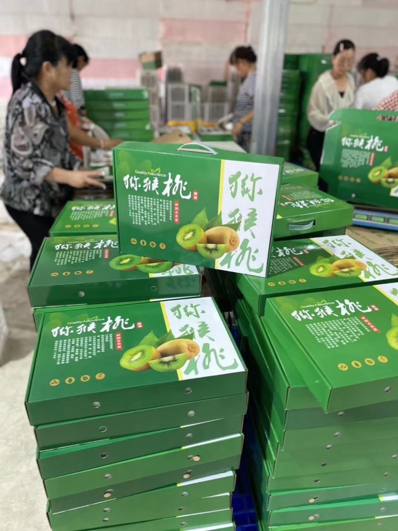 徐香猕猴桃小果供货基地直销批发零售包邮促销