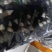 黑皮鸡枞菌