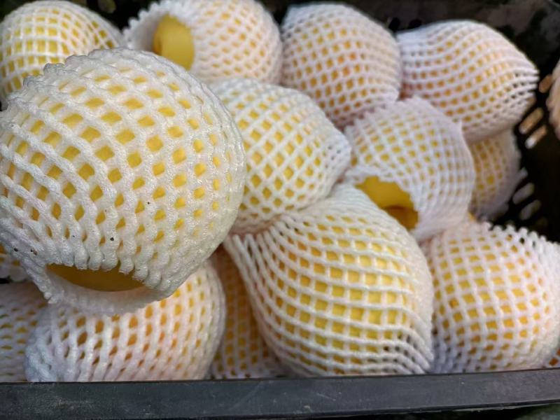 黄金油桃