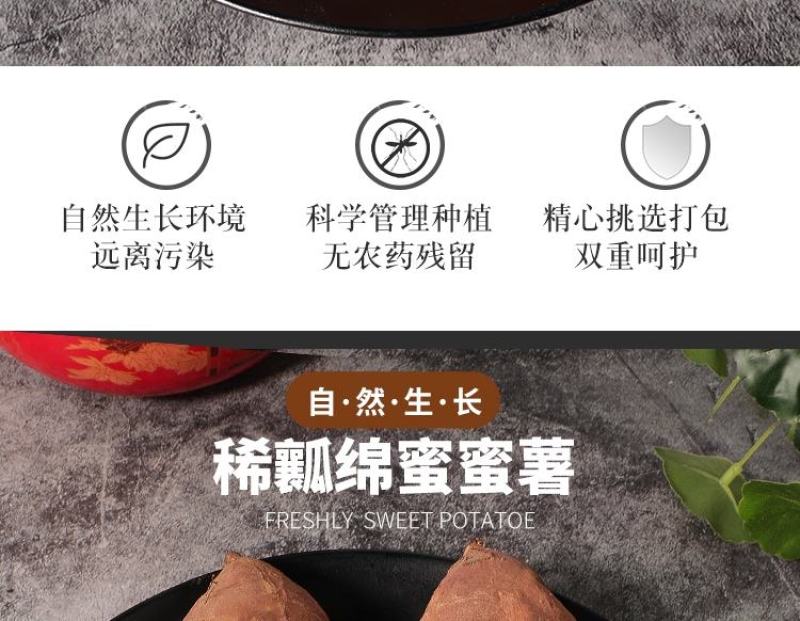 山东烟薯25号糖心蜜薯新鲜红薯板栗山芋红心地瓜