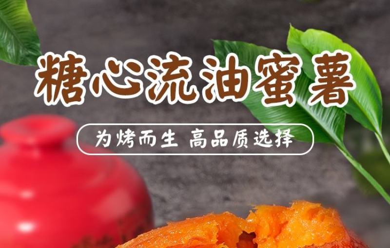 山东烟薯25号糖心蜜薯新鲜红薯板栗山芋红心地瓜