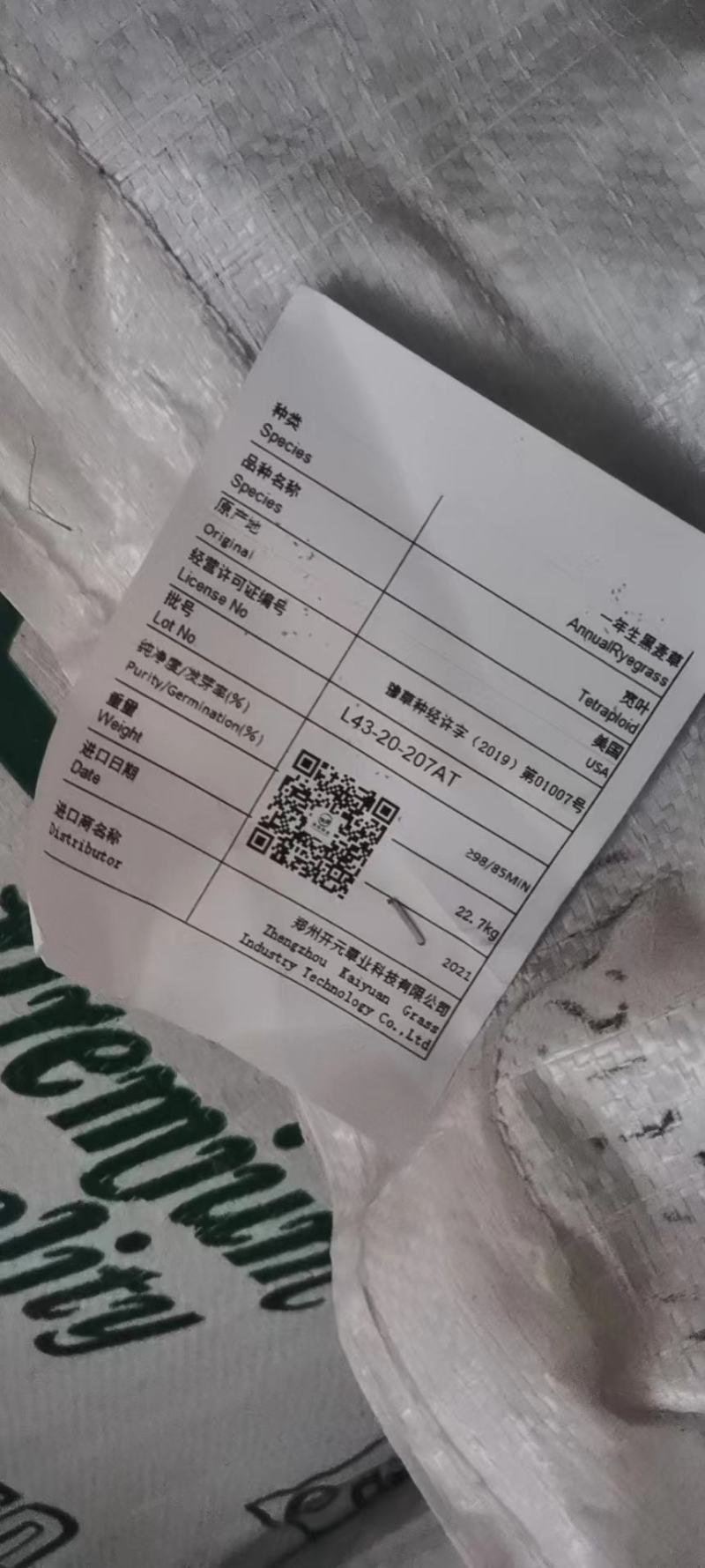 一年生黑麦草种，多年生黑麦草