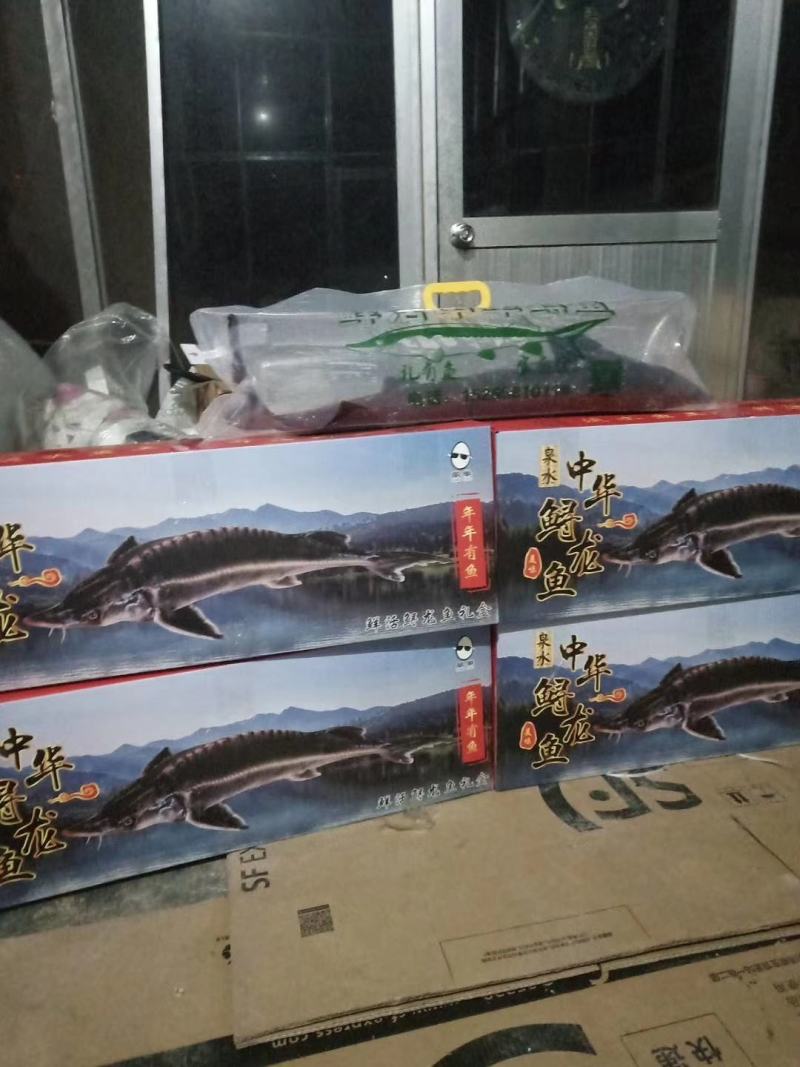各种规格鲟鱼齐全，质量优，价格低，渔场一手货源，全国发货