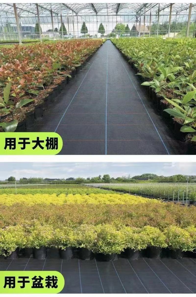 聚酯PET防草地布，使用年限5/8年，透水透气，防草保湿