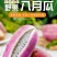 八月瓜1斤装八月炸水果新鲜当季整箱木通果罕见野生水果甜瓜