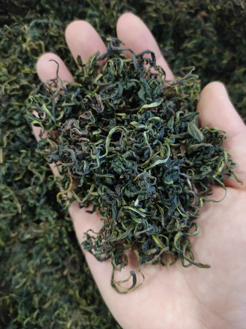 蒲公英茶（包邮）22年新货精品一级蒲公英茶头茬新货