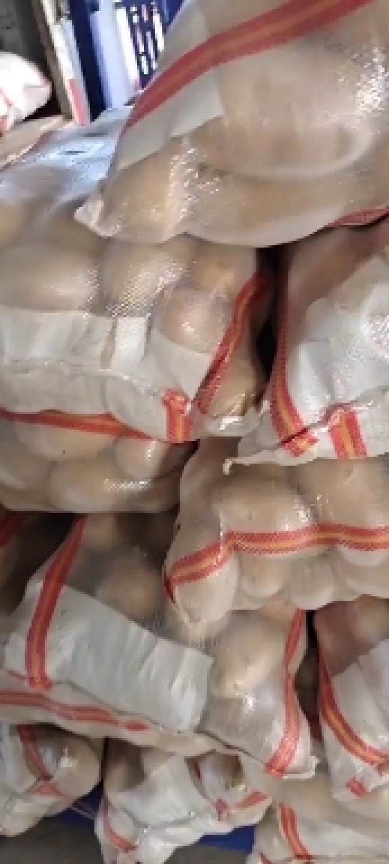 精品荷兰十五土豆大量出库需要的老板请在一亩田上与我联系