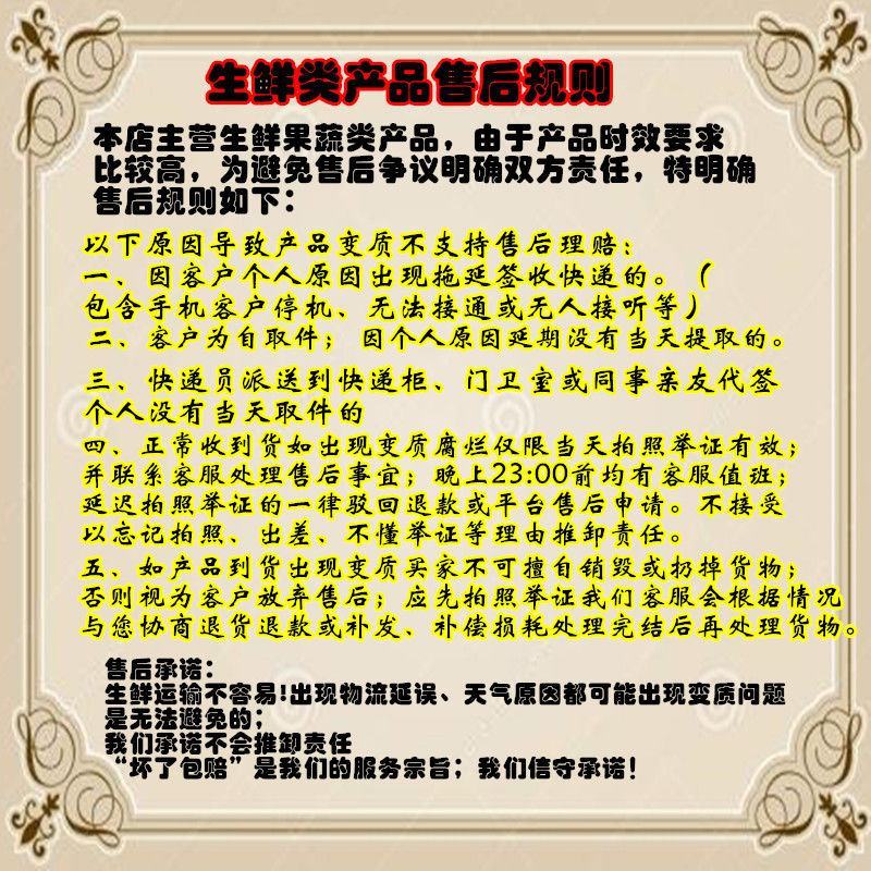 蒲公英新鲜现挖1/4整棵带根新鲜婆婆丁野菜黄花苗鲜黄花地