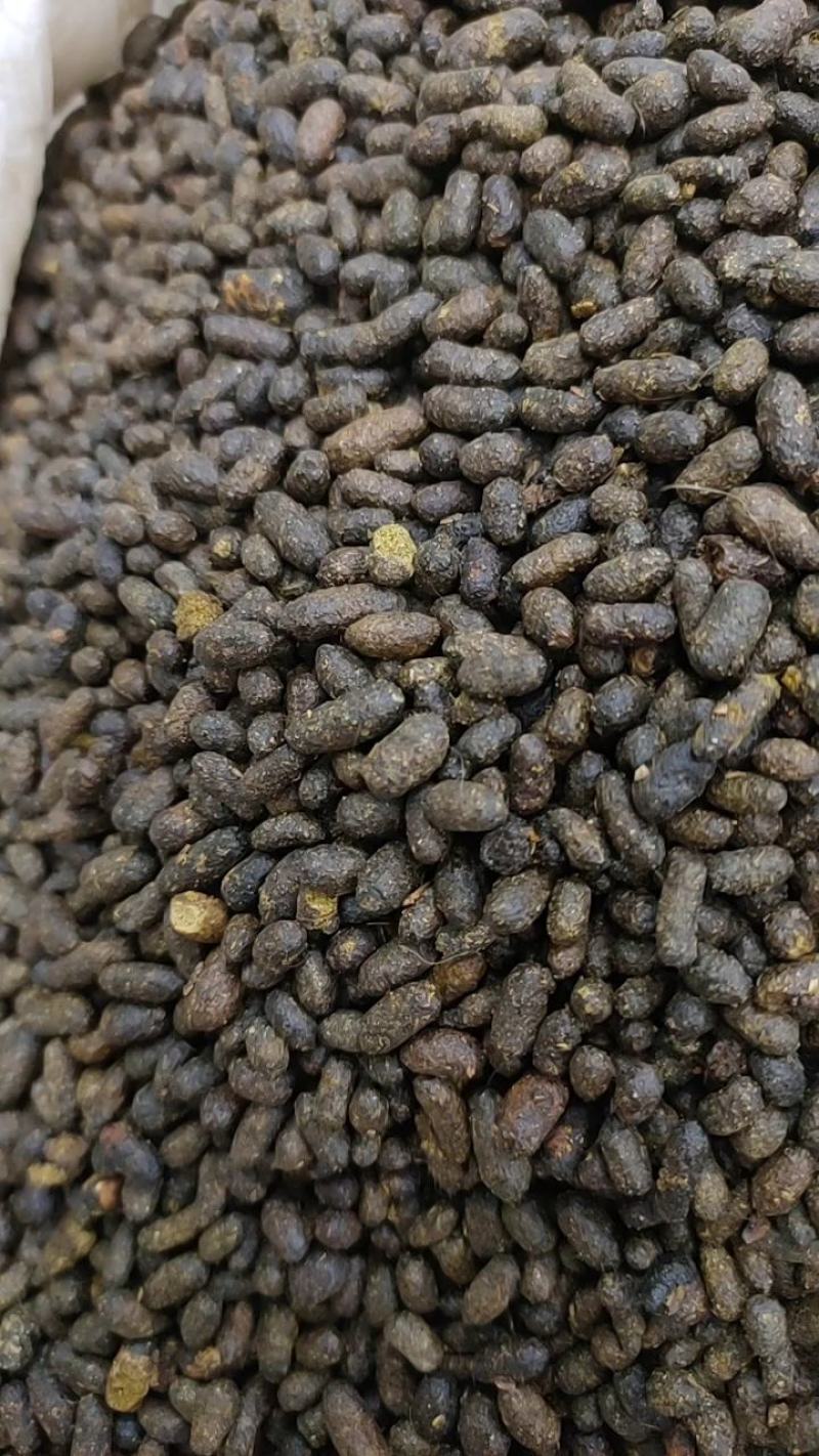 五灵脂干货药用散装批发老鼠屎无杂质净货