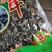 AA东北厚肉云耳自食推荐款泡发比A东北普通云耳货更厚