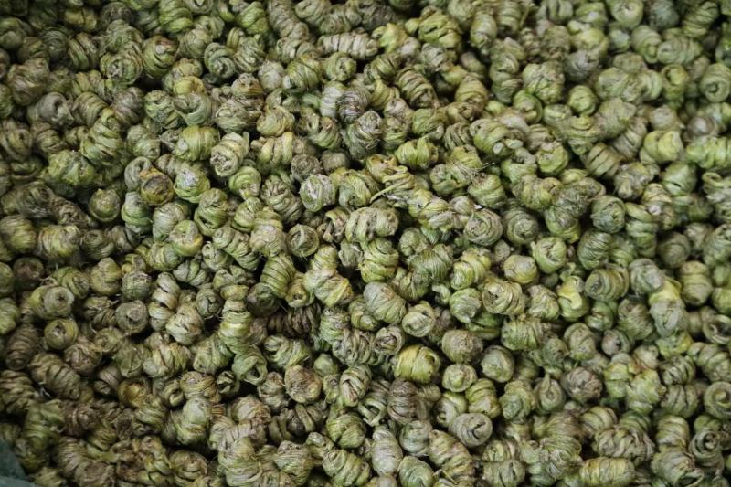 AA精选水草石斛中等品质足干货肉质整体紧实重手