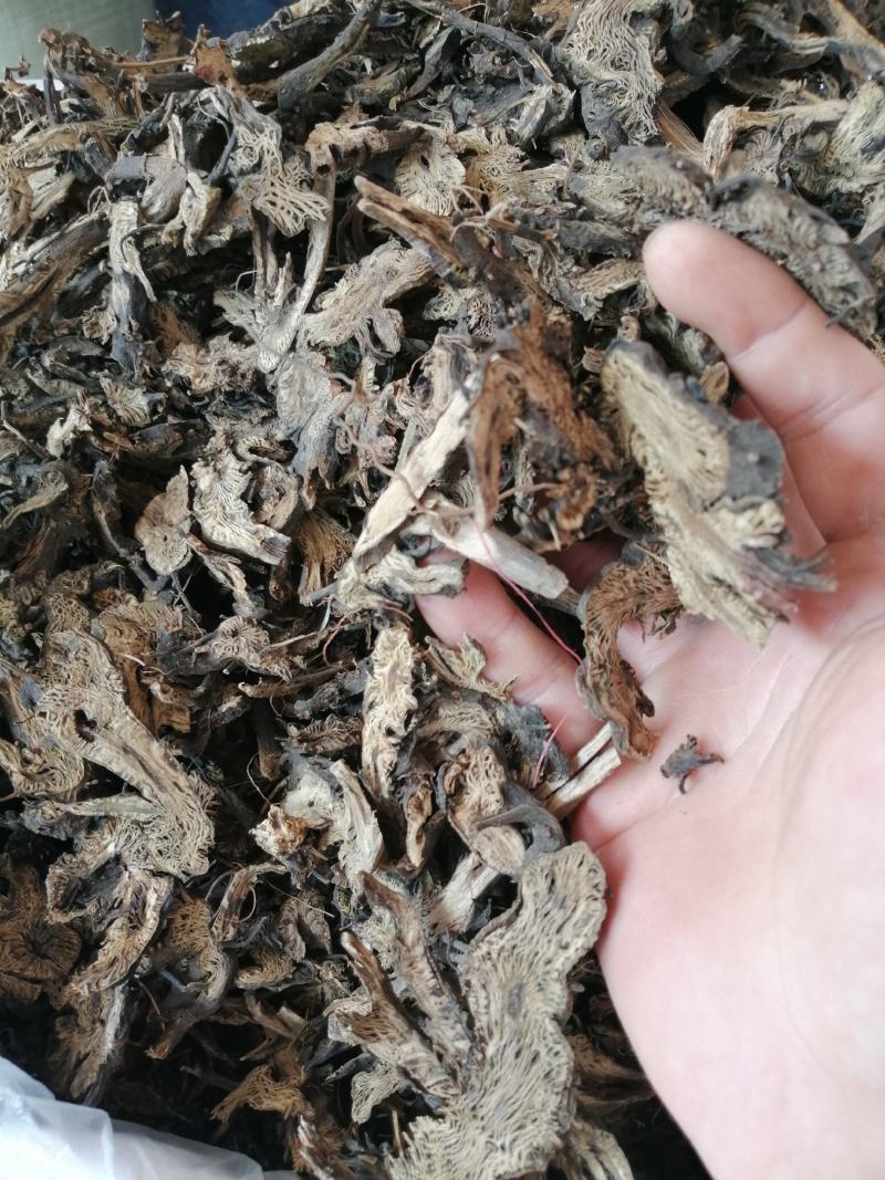 升麻内蒙中药材升麻经营各种规格中药材一公斤起批不包邮