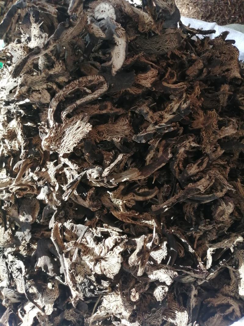 升麻内蒙中药材升麻经营各种规格中药材一公斤起批不包邮