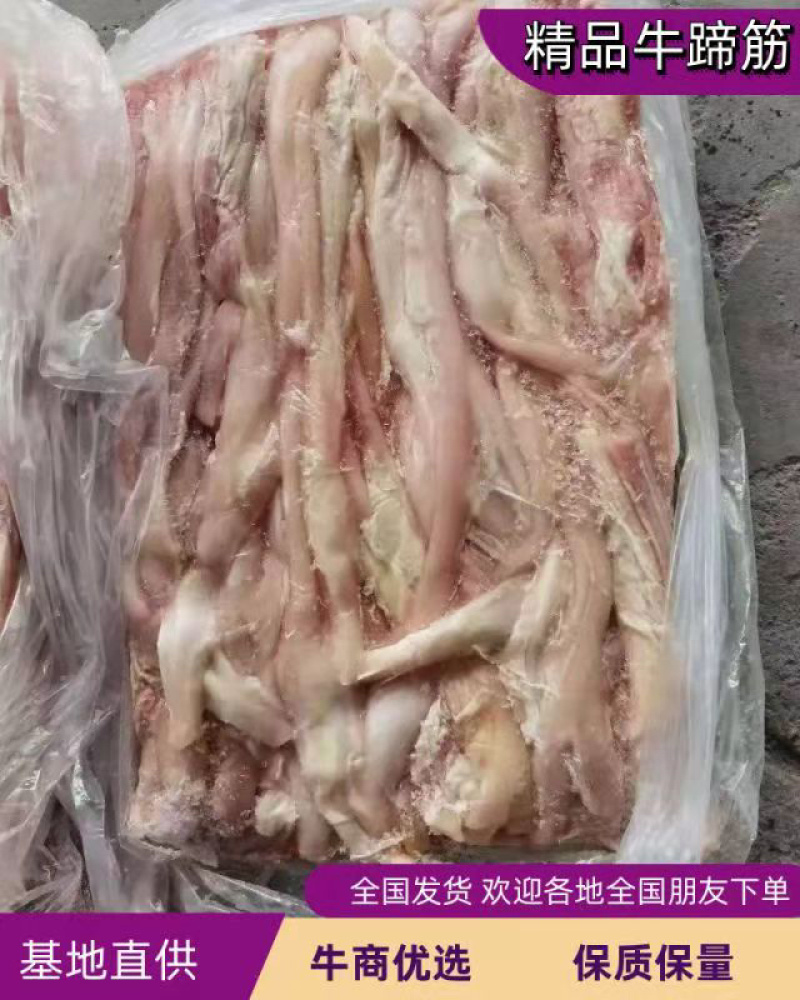 【精品】半成品牛蹄筋冷冻牛副产品长期有货厂家直销