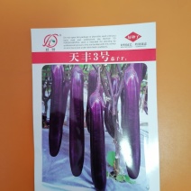 天丰3号茄子（成都好特园艺有限公司），一代交配，红茄典范