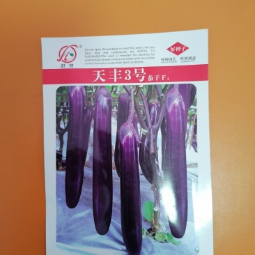 天丰3号茄子（成都好特园艺有限公司），一代交配，红茄典范