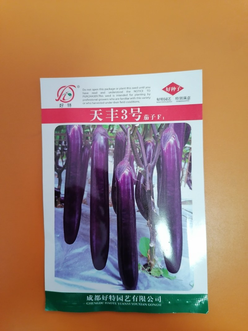 天丰3号茄子（成都好特园艺有限公司），一代交配，红茄典范