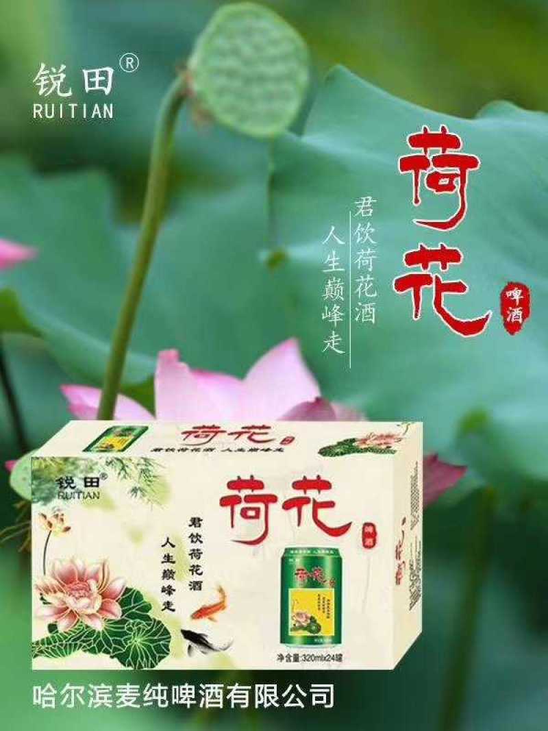荷花啤酒口感醇厚细腻，泡沫丰富，厂家直销价格美丽