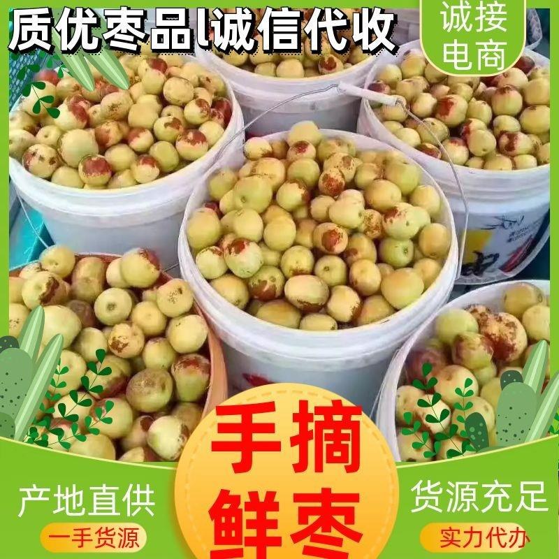 山东冬枣鲜红枣原产地直供脆甜代发诚信代收诚接电商