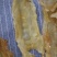 22头新西兰鳕鱼胶花胶批发足干口感好非常厚肉