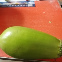 河南省内黄县王保昌瓜果蔬菜市场一青茄大量上市