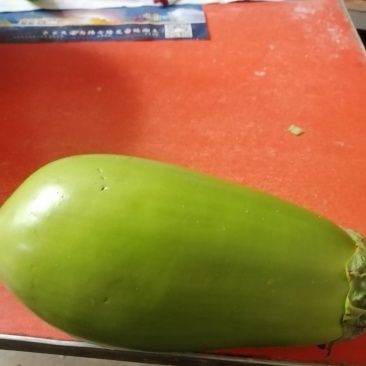 河南省内黄县王保昌瓜果蔬菜市场一青茄大量上市