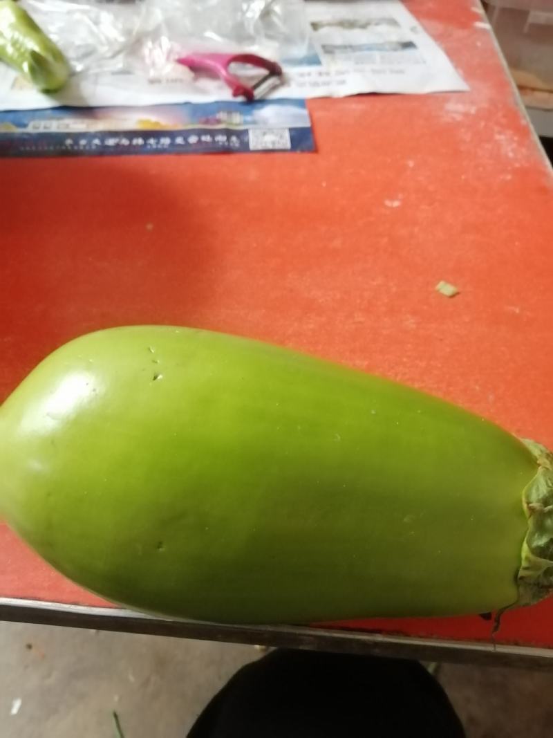 河南省内黄县王保昌瓜果蔬菜市场一青茄大量上市