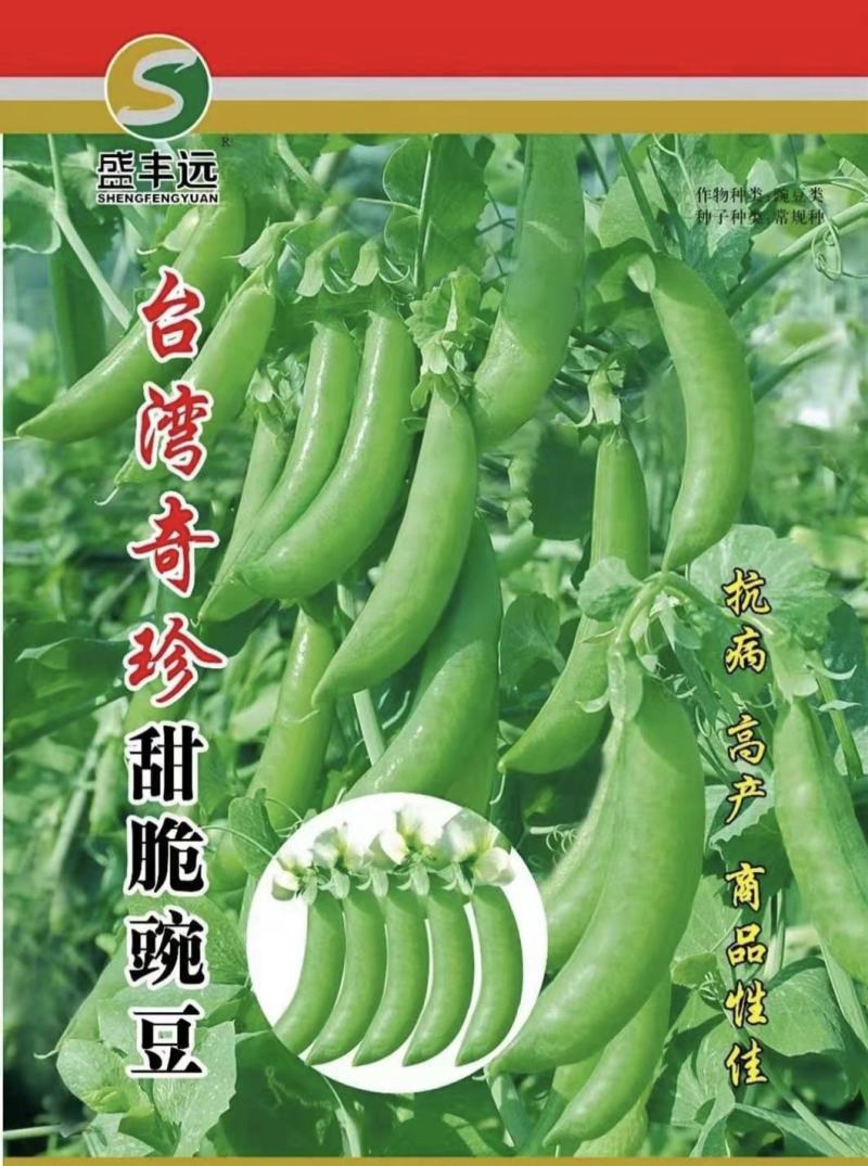 【台湾奇珍甜豌豆种子】结荚多抗性好商品价值高