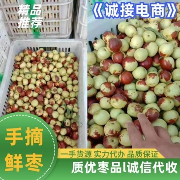 山东冬枣鲜枣半红脆甜实力代办诚信经营诚接各大电商