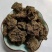 牛粪