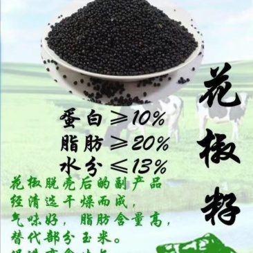 优质韩城大红袍花椒籽