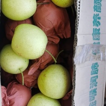雪花梨[半斤起]山西雪花梨