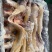 火烧毛去骨牛蹄干净无毛无水全国冷藏运输，