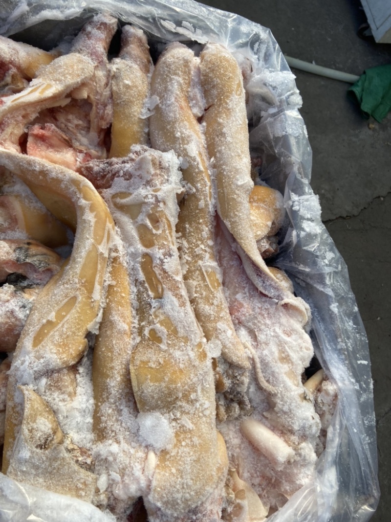 火烧毛去骨牛蹄干净无毛无水全国冷藏运输，
