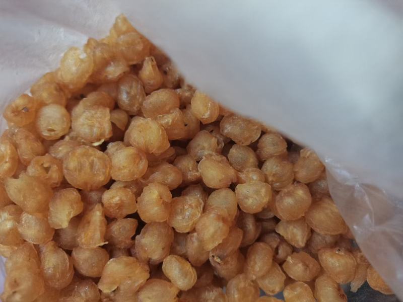 广西桂圆肉现有原生态桂圆出售，品质特优，价格优惠