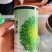 苦苣菜种子，四季播花叶苦菊种子黄心品种种子