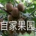 徐香猕猴桃绿心