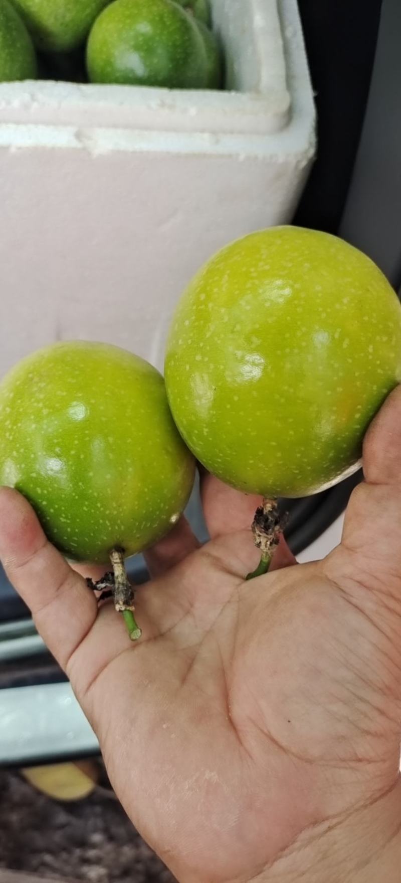 黄金百香果