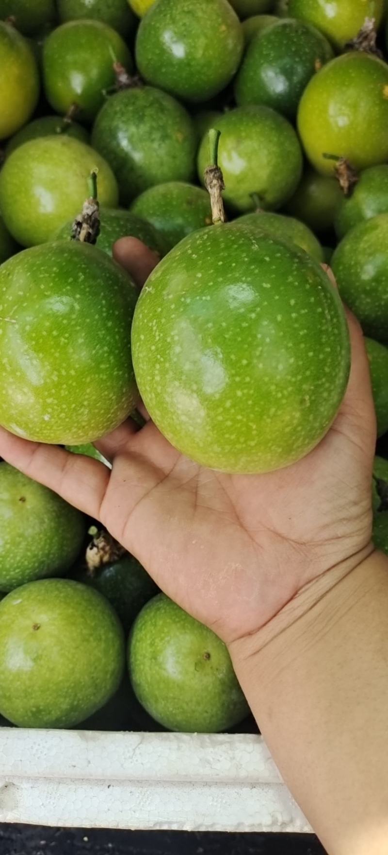 黄金百香果