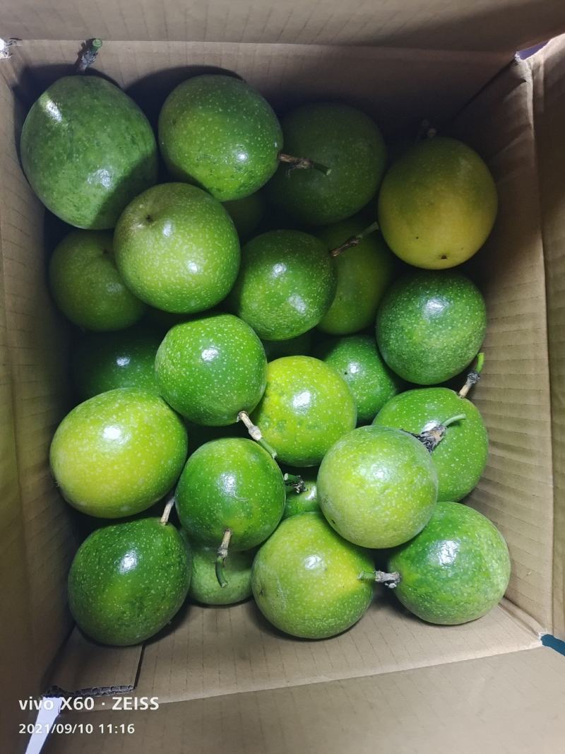 黄金百香果
