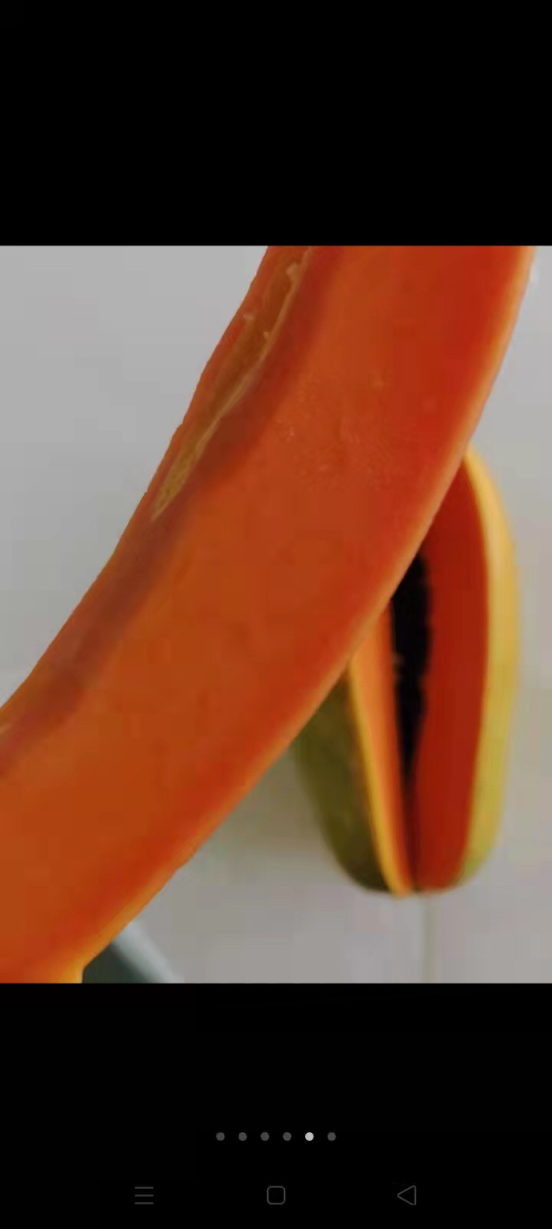 大青木瓜