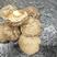 香菇冬菇干香菇剪脚肉厚场地直供质量保证量大从优