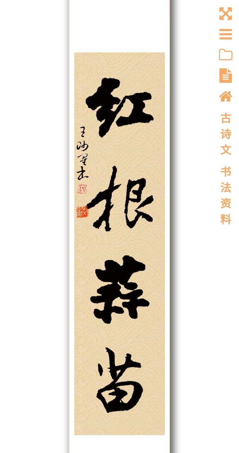 红根蒜苗种子软硬叶蒜苗蒜种免费全程技术指导