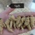 【精选西洋参】花旗参规格齐全，品质保证，量大优惠