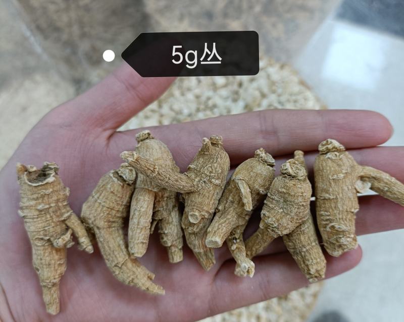 【精选西洋参】花旗参规格齐全，品质保证，量大优惠