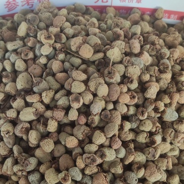 覆盆子～新货涨价中～170~一公斤起售~